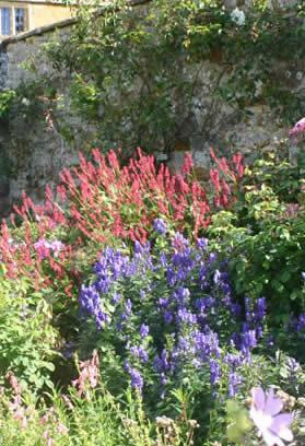 South-west border - Aug 2005 photo P Fiennes