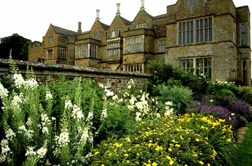 Herbaceous Border