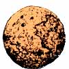 Cannon balls were found in the moat in 1758. Whose army might have fired them?